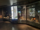 Museo Arqueológico y Antropológico de Casablanca